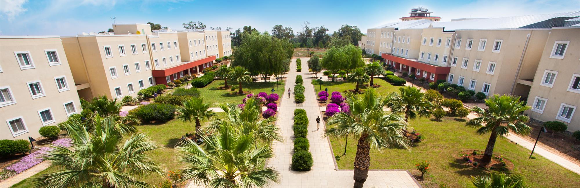 جامعة شرق البحر المتوسط